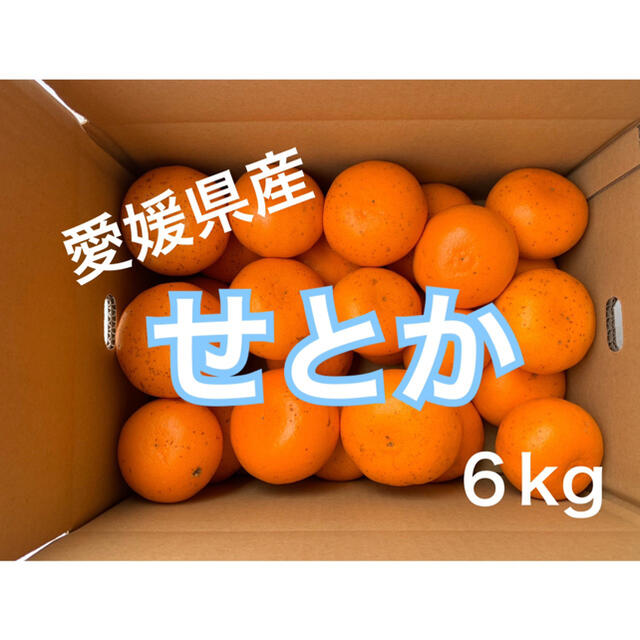 愛媛県産せとか6キロ 食品/飲料/酒の食品(フルーツ)の商品写真