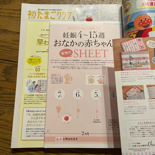 お値下げ⭐︎初めてのたまごクラブ 妊娠がわかったら最初に読む本 ２０２０年夏号 エンタメ/ホビーの雑誌(結婚/出産/子育て)の商品写真