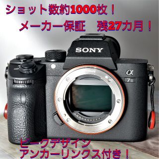 ソニー(SONY)のSONY ソニー α7 Ⅲ シャッター回数約1000枚 メーカー保証27カ月残！(ミラーレス一眼)