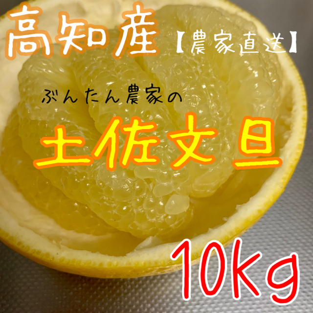 高知県 文旦 ぶんたん 10kg 食品/飲料/酒の食品(フルーツ)の商品写真