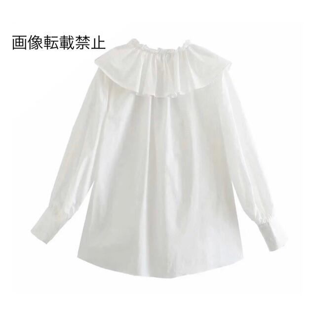 ZARA(ザラ)の🌼春新作💐3728◆white フリル シャツ ブラウス レディースのトップス(シャツ/ブラウス(長袖/七分))の商品写真