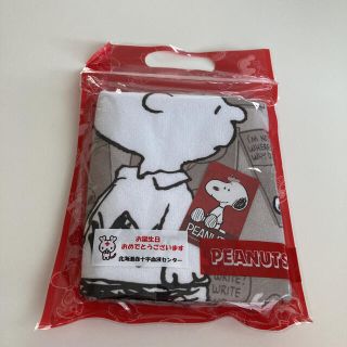 スヌーピー(SNOOPY)のスヌーピー　デイリータオル　タオル(ハンカチ)