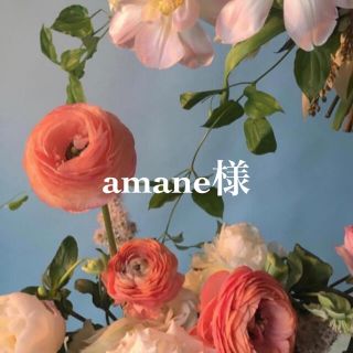 amane様専用(ニット/セーター)