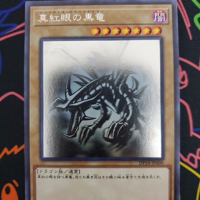 遊戯王　レッドアイズブラックドラゴン　ホログラフィック