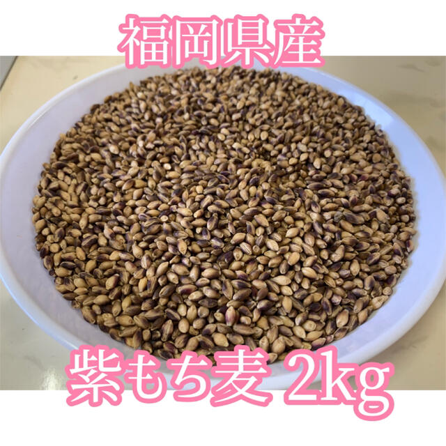 【栄養満点】福岡県産紫 もち麦2kg 食品/飲料/酒の食品(米/穀物)の商品写真