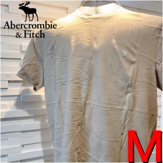 アバクロンビーアンドフィッチ(Abercrombie&Fitch)の22アバクロ　ホリスター  Tシャツ  M 新品 正規品 ロゴ　メンズ(Tシャツ/カットソー(半袖/袖なし))