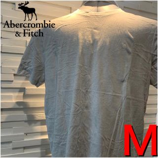 アバクロンビーアンドフィッチ(Abercrombie&Fitch)の21アバクロ　ホリスター  Tシャツ  M 新品 正規品 ロゴ　メンズ(Tシャツ/カットソー(半袖/袖なし))