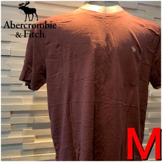 アバクロンビーアンドフィッチ(Abercrombie&Fitch)の23アバクロ　ホリスター  Tシャツ  M 新品 正規品 ロゴ　メンズ(Tシャツ/カットソー(半袖/袖なし))