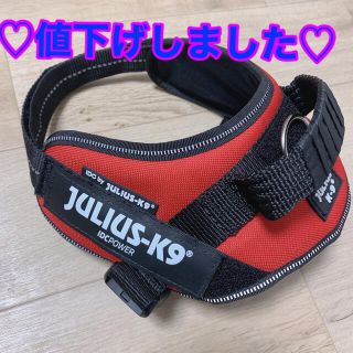 ユリウス(JULIUS)の値下げ♡Julius-K9★Smini★赤(犬)