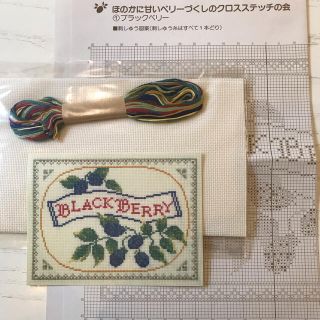 フェリシモ(FELISSIMO)の刺繍キット(その他)