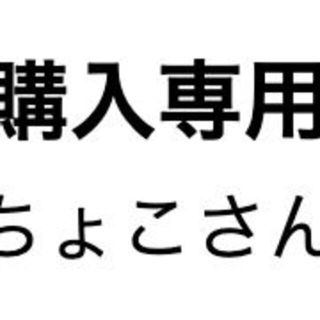 ちょこさん専用(その他)