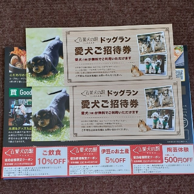 愛犬の駅　ドッグランご招待券　クーポン チケットの優待券/割引券(その他)の商品写真