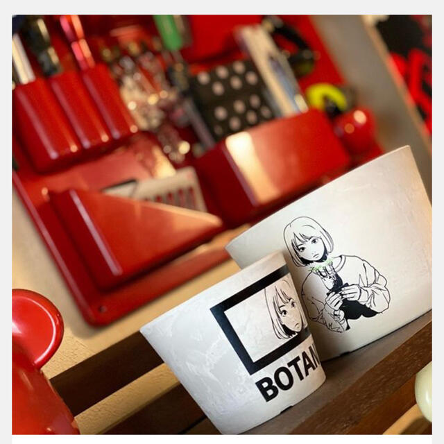 MEDICOM TOY(メディコムトイ)のBackside Works. x BOTANIZE POT BIG セット エンタメ/ホビーのアート用品(その他)の商品写真