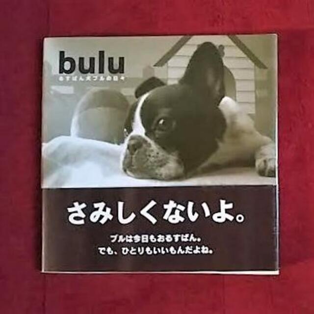 最終価格 Bull るすばん犬ブルの日々 フレンチブルドッグ 写真集の通販 By Lucy13 S Shop ラクマ