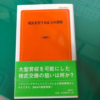 成長を買うＭ＆Ａの深層(文学/小説)