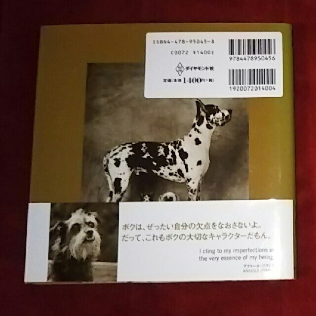 最終価格 Underdog アンダードッグ 犬の写真集 送料込み の通販 By Lucy13 S Shop ラクマ