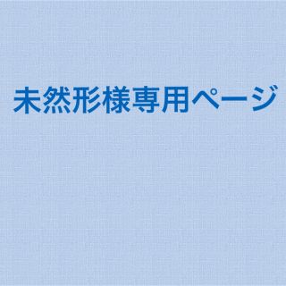 専用ページです！(歯磨き粉)