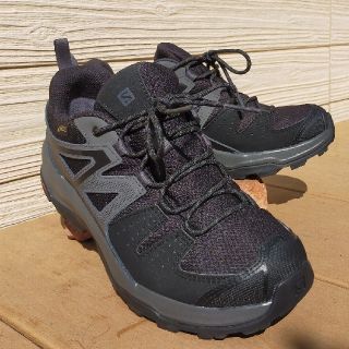 サロモン(SALOMON)のsalomon X RADIANT Gore-TEX サロモン ゴアテックス(登山用品)