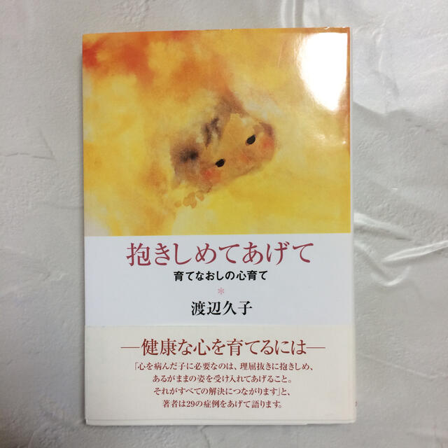 太陽のアロエ社(タイヨウノアロエシャ)の抱きしめてあげて 育てなおしの心育て エンタメ/ホビーの雑誌(結婚/出産/子育て)の商品写真