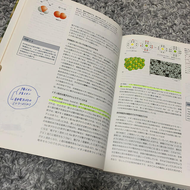 Ｅｓｓｅｎｔｉａｌ細胞生物学 原書第４版 | hmgrocerant.com