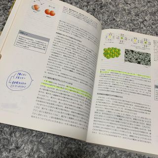 Ｅｓｓｅｎｔｉａｌ細胞生物学 原書第４版