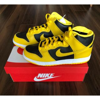 ナイキ(NIKE)のNIKE DUNK HI サイズ29cm ダンクハイ(スニーカー)