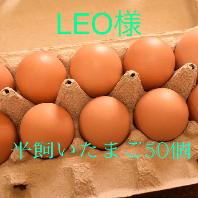 LEO様専用　平飼いたまご50個 食品/飲料/酒の食品(野菜)の商品写真