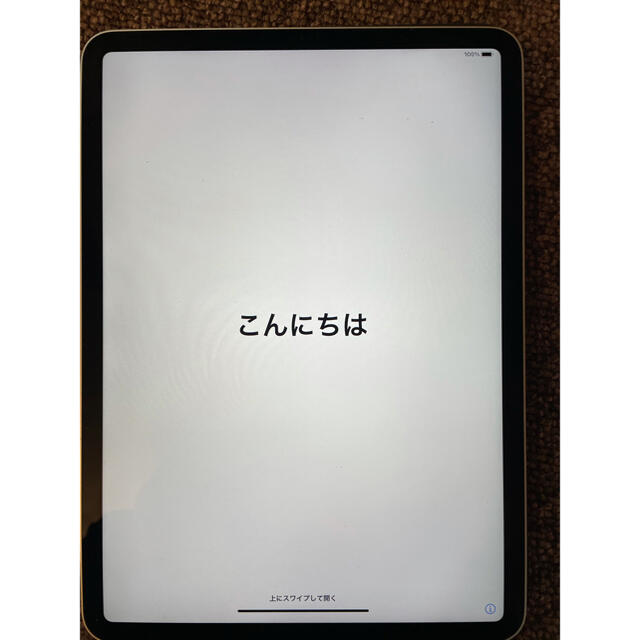 第2世代　iPad Pro 11 256GB Wi-Fi 美品　ケース付