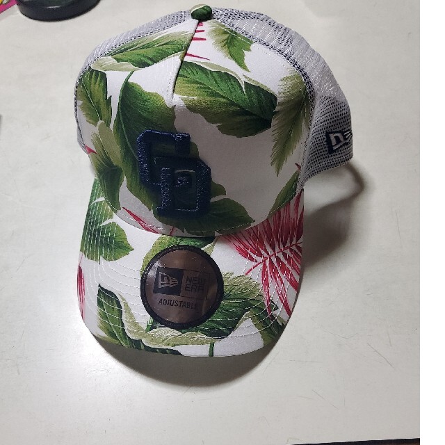 中日ドラゴンズ(チュウニチドラゴンズ)のNEWERAドラゴンズ メンズの帽子(キャップ)の商品写真
