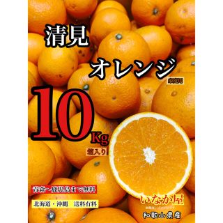 清見オレンジ　家庭用　セール　早い者勝ち！　特価価格　残り2点(フルーツ)