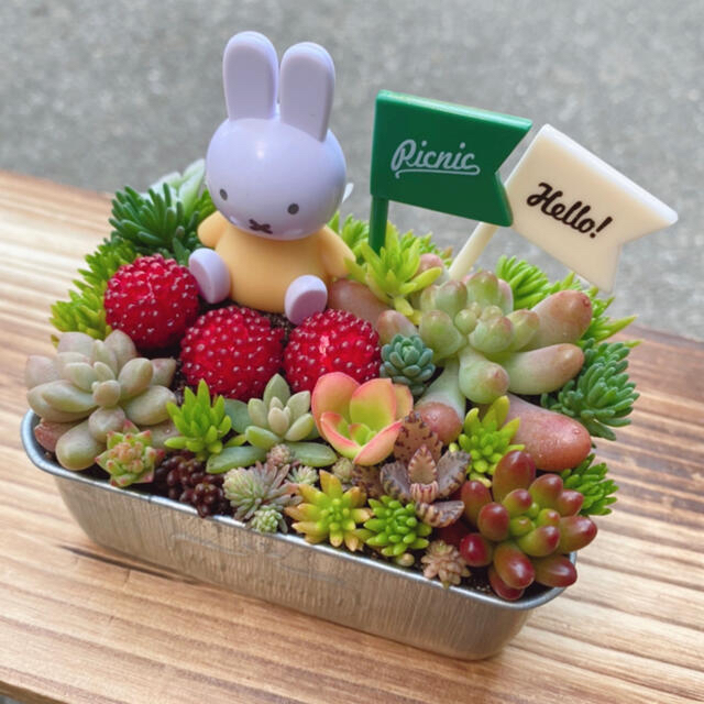 ★★モリモリ❤️可愛い★ミッフィー★寄せ植え★このまま飾れます★多肉植物 ハンドメイドのフラワー/ガーデン(その他)の商品写真