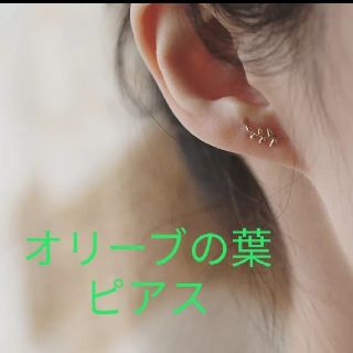 ゴールドピアス(ピアス)