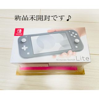 ニンテンドースイッチ(Nintendo Switch)のNintendo Switch light （スイッチ　ライト）(ゲーム)