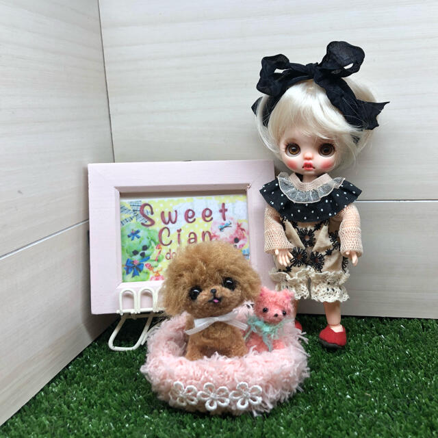 話題の行列 みよんのモールっ子 可愛いトイプーちゃん その他 - www 話題の行列 みよんのモールっ子 可愛いトイプーちゃん その他 - www