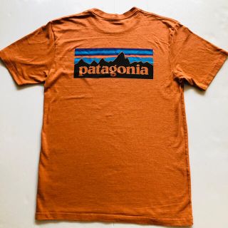 パタゴニア(patagonia)のpatagonia パタゴニア PATAGONIA Tシャツ M(Tシャツ/カットソー(半袖/袖なし))