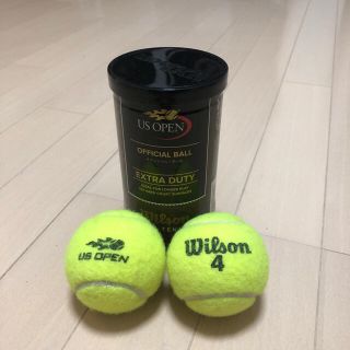 ウィルソン(wilson)のもっけ様専用 硬式テニスボール4球set(ボール)