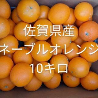 オレンジ10キロ(フルーツ)