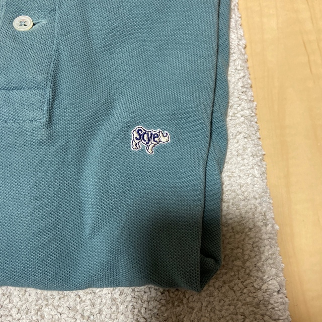 Scye(サイ)のscye 鹿子ポロシャツ　36 レディースのトップス(ポロシャツ)の商品写真