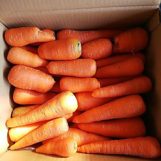 京丹後市産「にんじん」10kg(野菜)