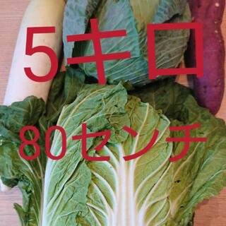 ８０センチ★５キロ入り★野菜詰め合わせセット★(野菜)