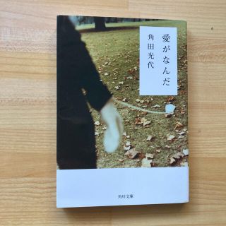 愛がなんだ(文学/小説)