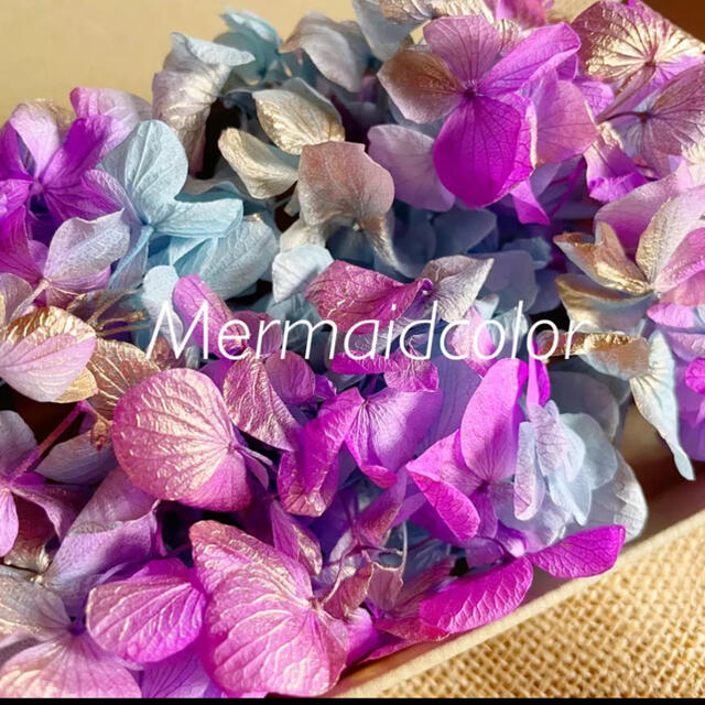 ソフトゆめ紫陽花 マーメイドカラー あじさい ハーバリウム花材 ハンドメイドのフラワー/ガーデン(プリザーブドフラワー)の商品写真