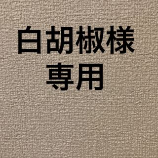 アイフォーン(iPhone)のiPhoneSE第2世代　空箱　iPhone SE2(バッテリー/充電器)