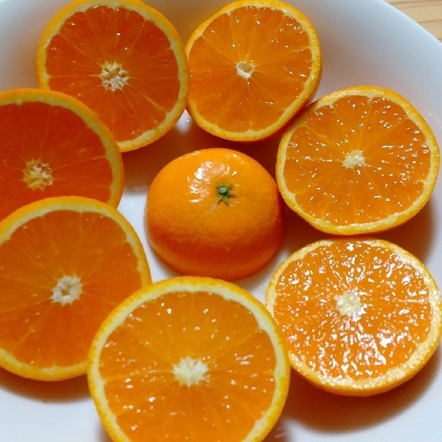 masa様専用 清見オレンジ 小玉 10キロ 食品/飲料/酒の食品(フルーツ)の商品写真