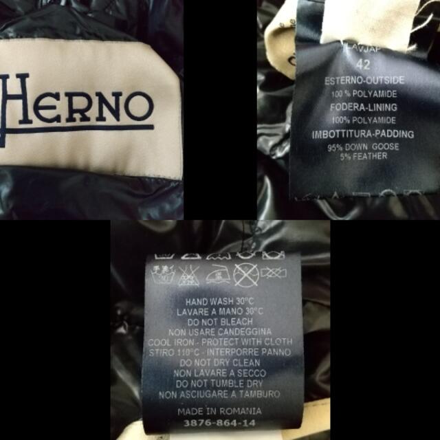 HERNO(ヘルノ)のHERNO(ヘルノ) ダウンコート サイズ42 M - レディースのジャケット/アウター(ダウンコート)の商品写真