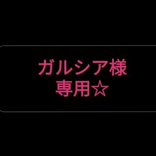 ガルシア様専用☆(その他)