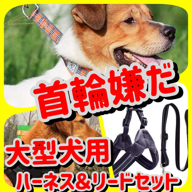 Ｌ大型犬用高級タイプハーネス胸囲：61-75 その他のペット用品(犬)の商品写真