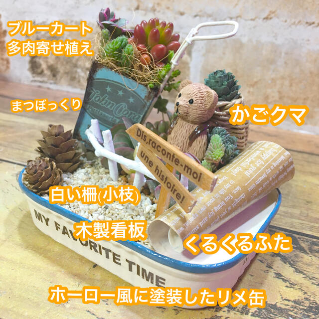 多肉植物の寄せ植え　くるくる蓋つきリメ缶 ハンドメイドのフラワー/ガーデン(その他)の商品写真