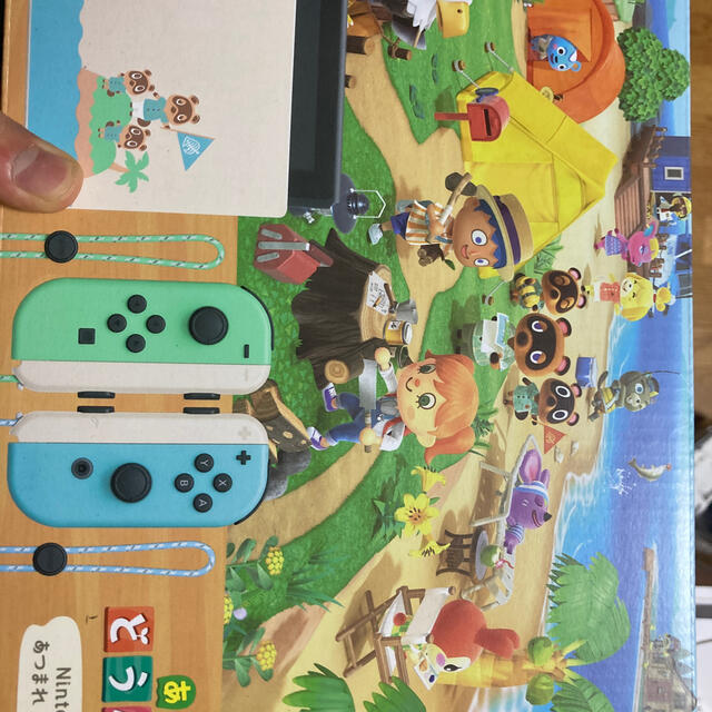 任天堂Switch あつまれどうぶつの森パッケージ