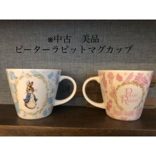 ピーターラビット　マグカップ　ペア2個(食器)